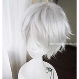 刀剣乱舞&nbsp;コスプレ&nbsp;ウィッグ&nbsp;cosplay&nbsp;かつら&nbsp;&nbsp;シルバー DM009