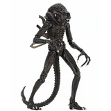 おもちゃ Alien 210mm 頭部交換可能 不可動 塗装済みアクションフィギュア